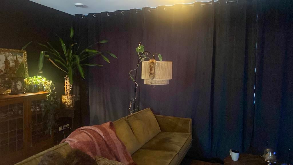 Zwarte velvet gordijnen, Ophalen, 200 cm of meer, Zwart, Zo goed als nieuw