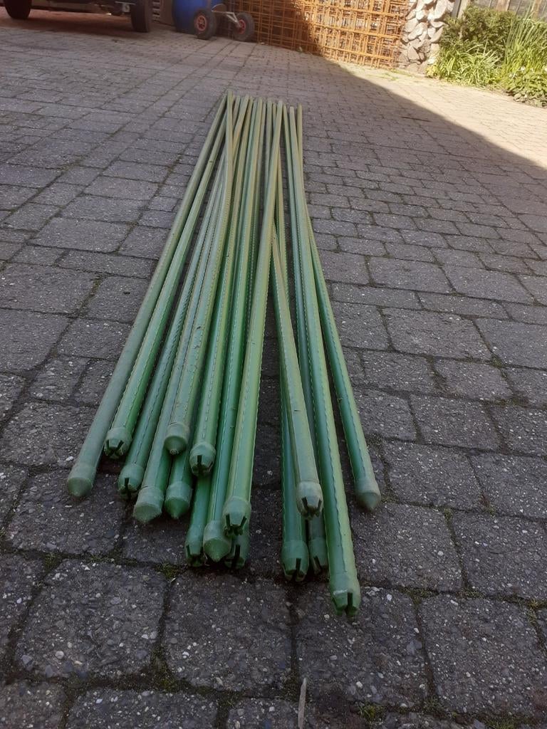 Bonen staken, Ophalen of Verzenden, IJzer, Sierhekwerk