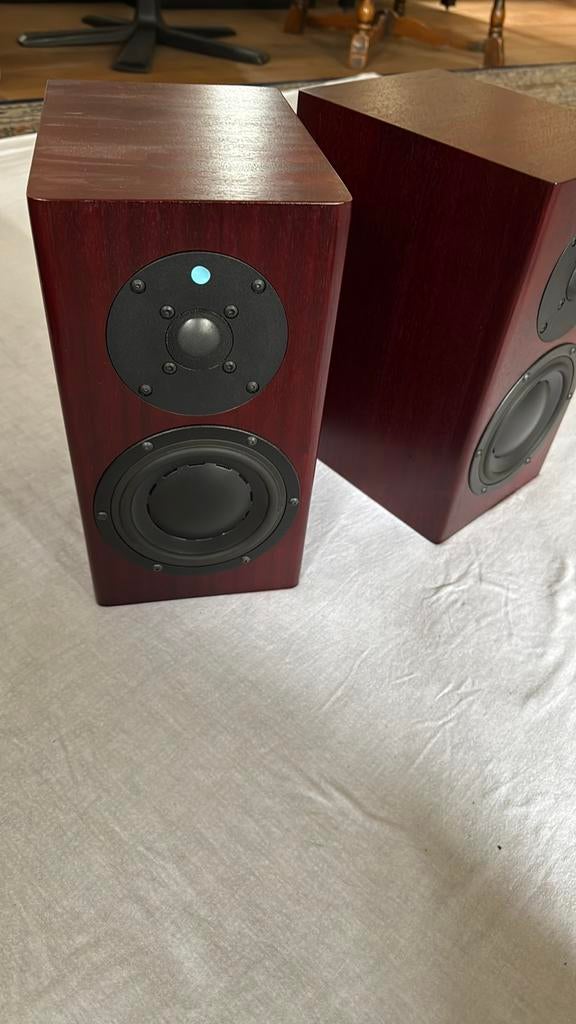 Totem Model One Signature, Overige merken, Ophalen of Verzenden, Zo goed als nieuw, 60 tot 120 watt