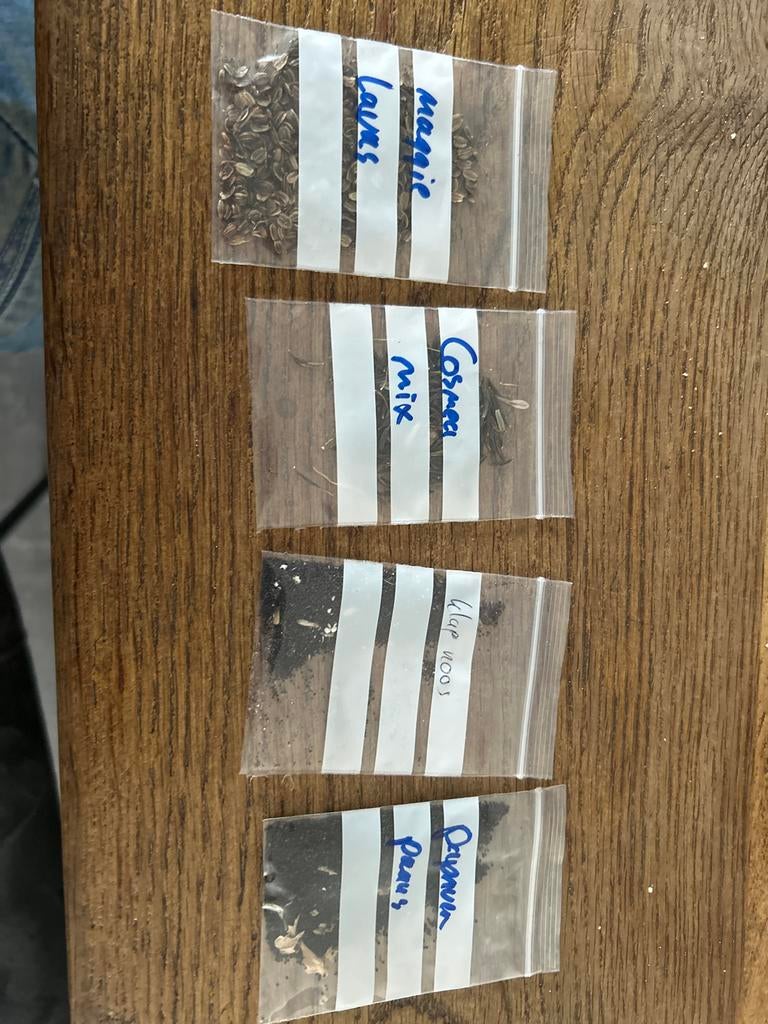 Zadenmix: maggie, cosmea, klaproos, papaver, Ophalen of Verzenden, Voorjaar, Volle zon, Zaad