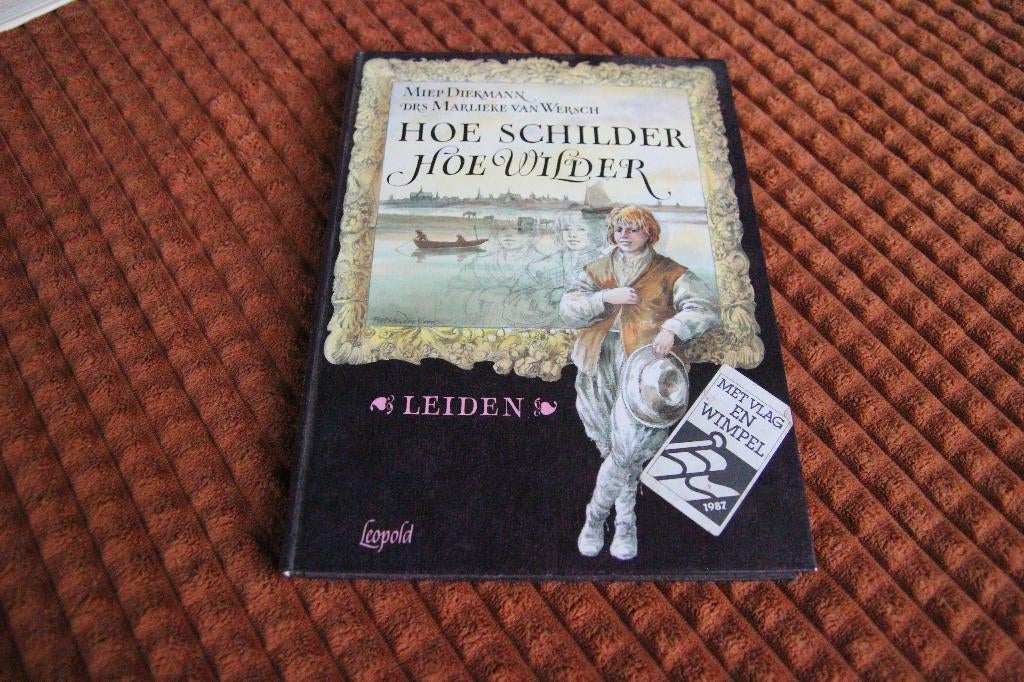 Hoe schilder hoe wilder Miep Diekmann, Boeken, Kunst en Cultuur | Beeldend, Ophalen of Verzenden, Gelezen
