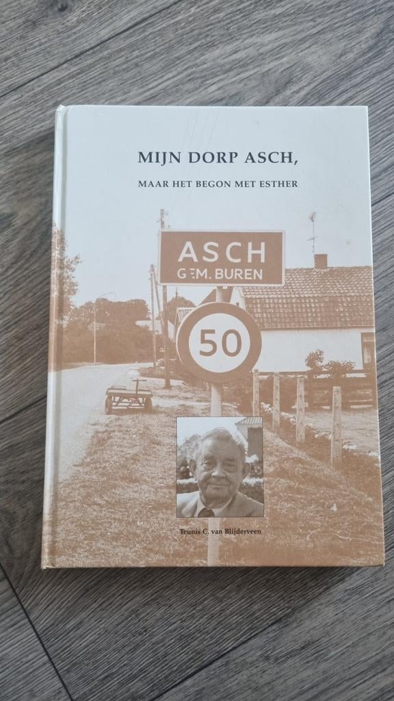 Mijn Dorp Asch, maar het begon met Esther, Ophalen of Verzenden, Gelezen, Teunis van blijderveen