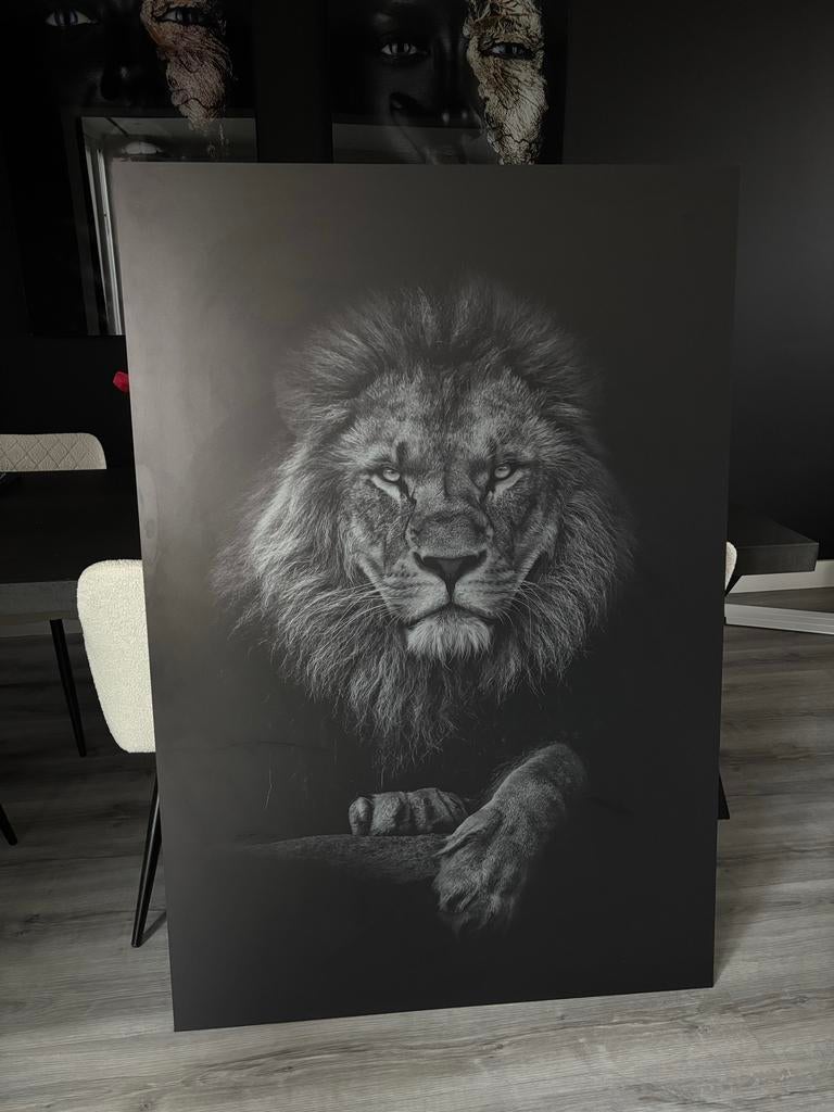 Plexiglas Schilderij Leeuw - 100x147cm, Ophalen