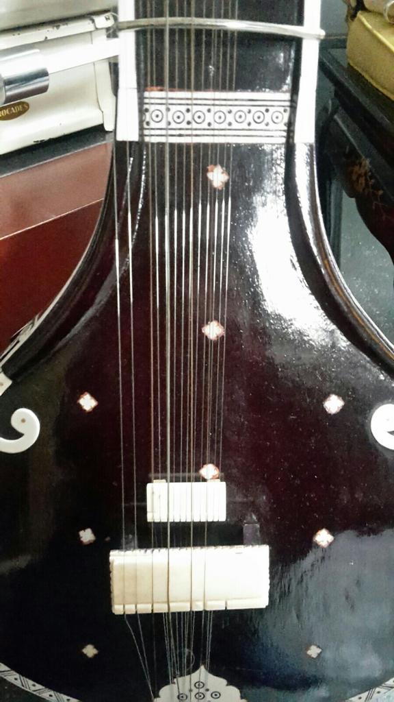 Sitar/tanpura snaarinstrument, Muziek en Instrumenten, Ophalen of Verzenden, Zo goed als nieuw, Solid body, Overige merken