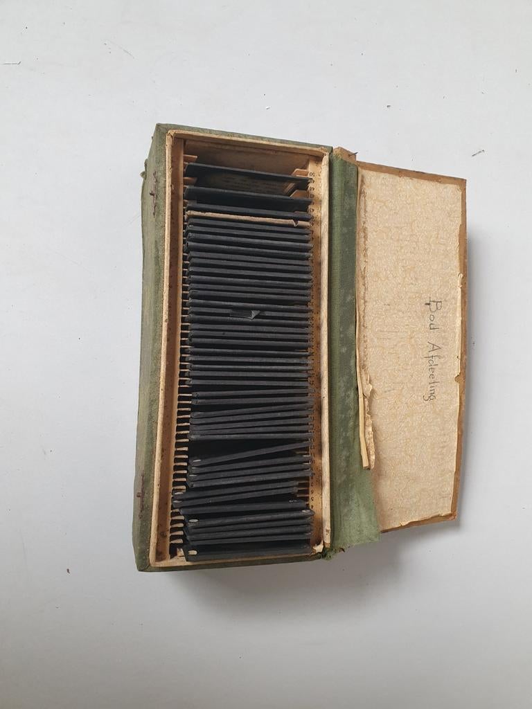 Foto positieven / negatieven, Verzamelen, Foto's en Prenten, Ophalen of Verzenden, Voor 1940, Zo goed als nieuw