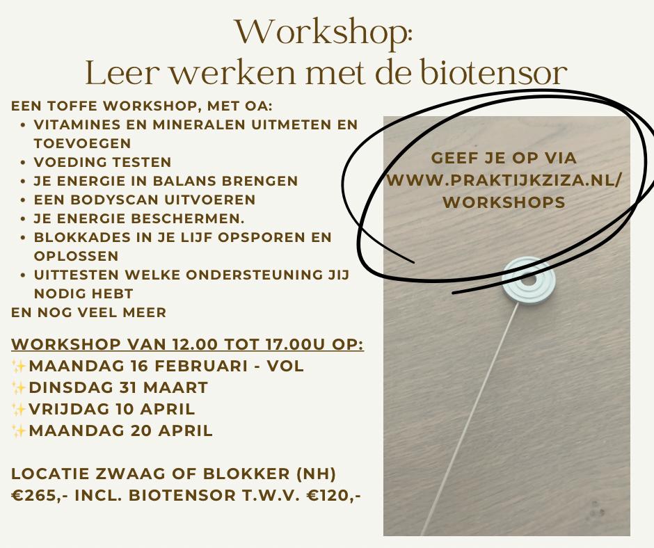 Workshop biotensor maandag 20 april Blokker Noord Holland, Ophalen, Zo goed als nieuw, Meerdere media