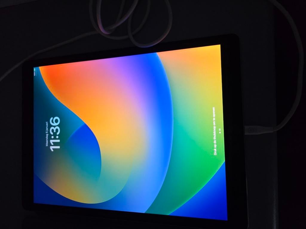 Ipad pro Zilver, Ophalen of Verzenden, Zo goed als nieuw