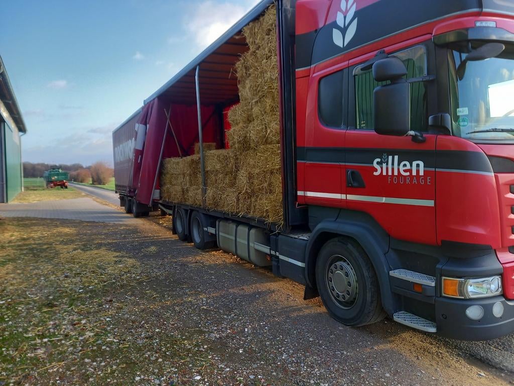 Te koop kleine balen stro, Ophalen of Verzenden, Vee