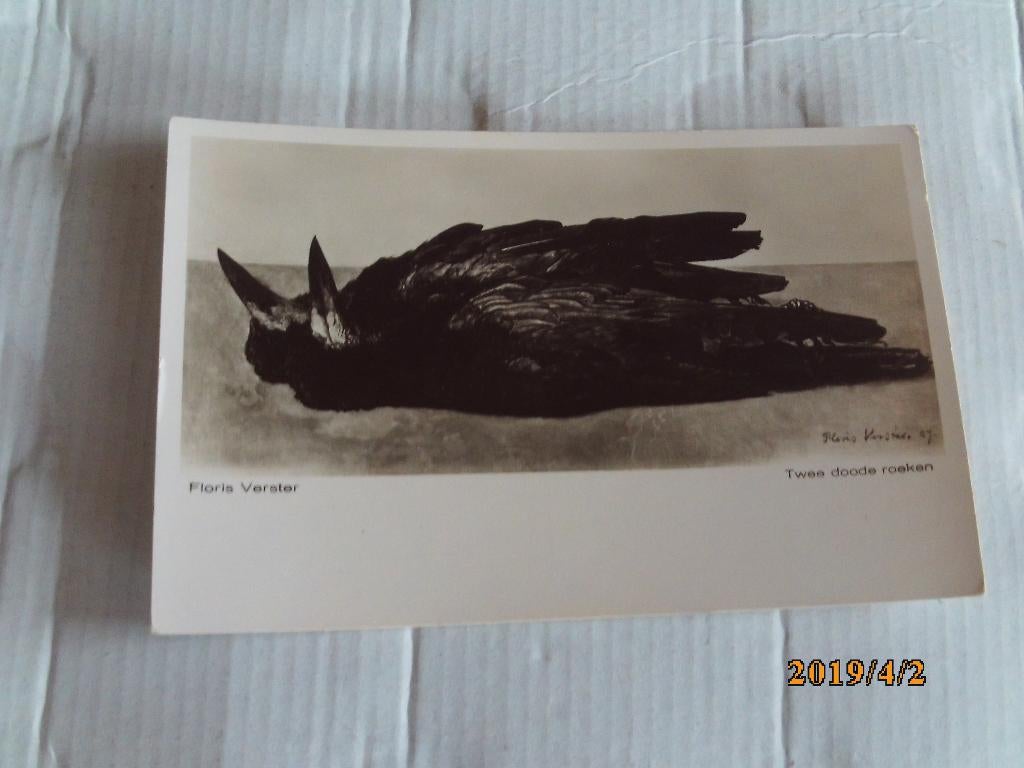 ansichtkaart twee doode roeken - floris verster, Ophalen of Verzenden, 1960 tot 1980, Ongelopen