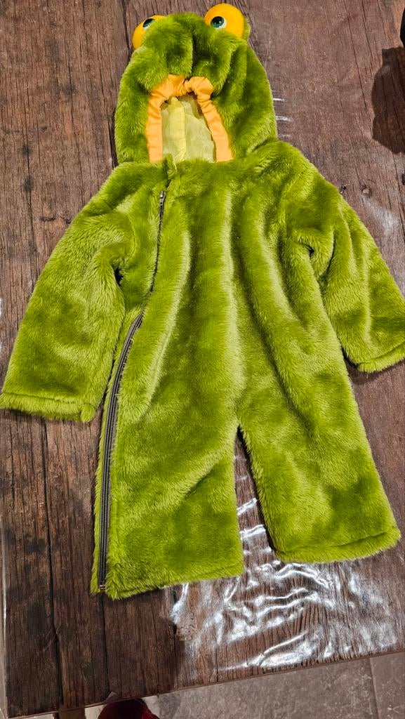 Carnaval kikkerpak, Ophalen of Verzenden, Jongen of Meisje