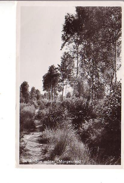 Ansichtkaart	Oisterwijk	Morgenrood	De Rimboe, Verzenden, 1940 tot 1960, Gelopen, Noord-Brabant