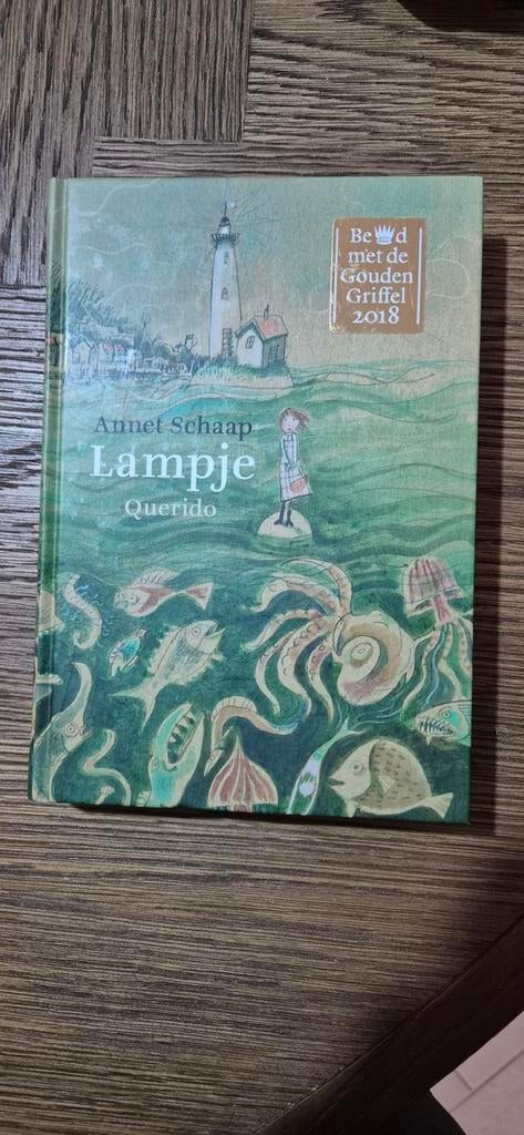 Annet Schaap - Lampje, Ophalen of Verzenden, Zo goed als nieuw, Annet Schaap