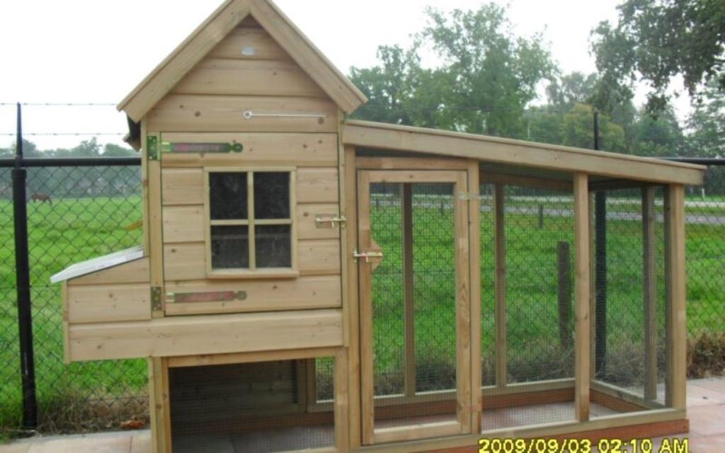 Hoog kippenhok maatwerk nieuw, Dieren en Toebehoren, Ophalen of Verzenden, Nieuw, Kippenhok of Kippenren