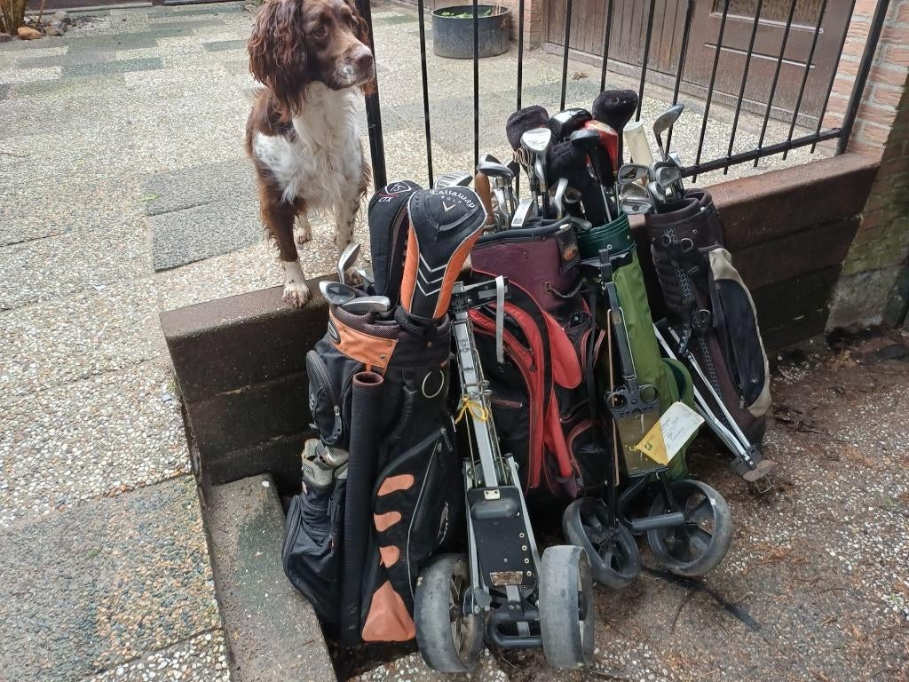 golfartikelen, Sport en Fitness, Golf, Ophalen, Set