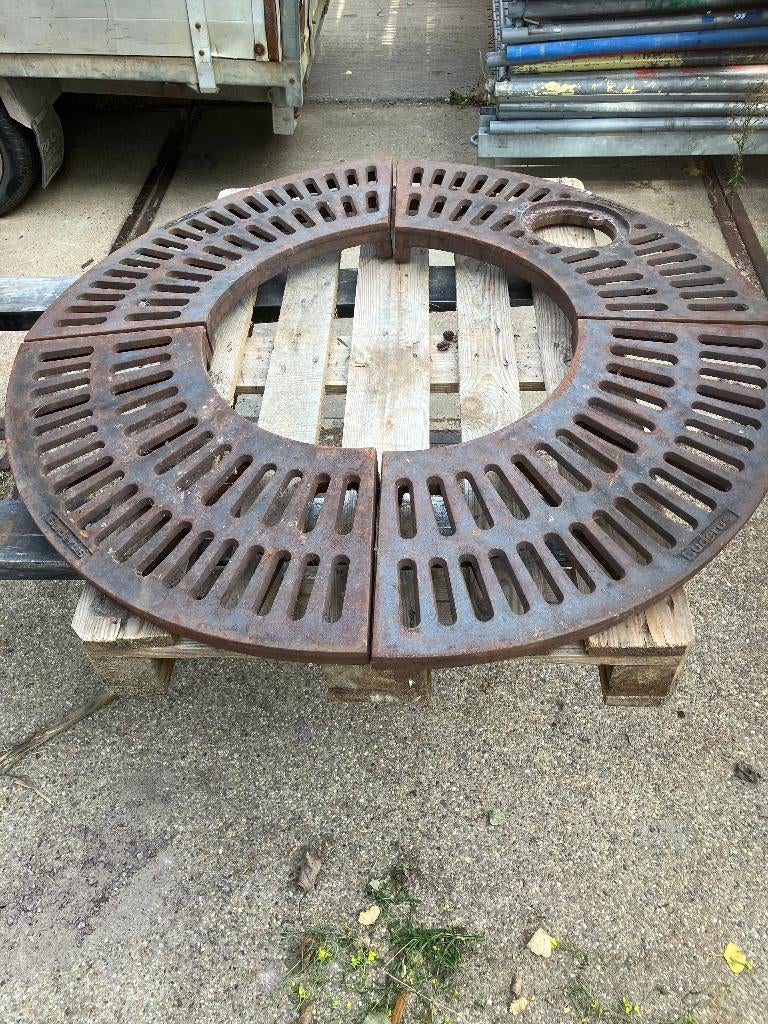 boomrooster buderus, Tuin en Terras, Bloeit niet, Overige soorten, Minder dan 100 cm, Ophalen