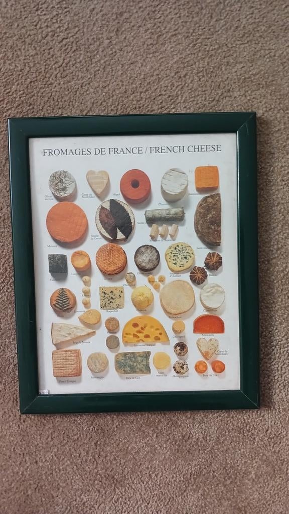 Poster Franse kazen, Ophalen of Verzenden, Zo goed als nieuw, Minder dan 50 cm, Minder dan 50 cm