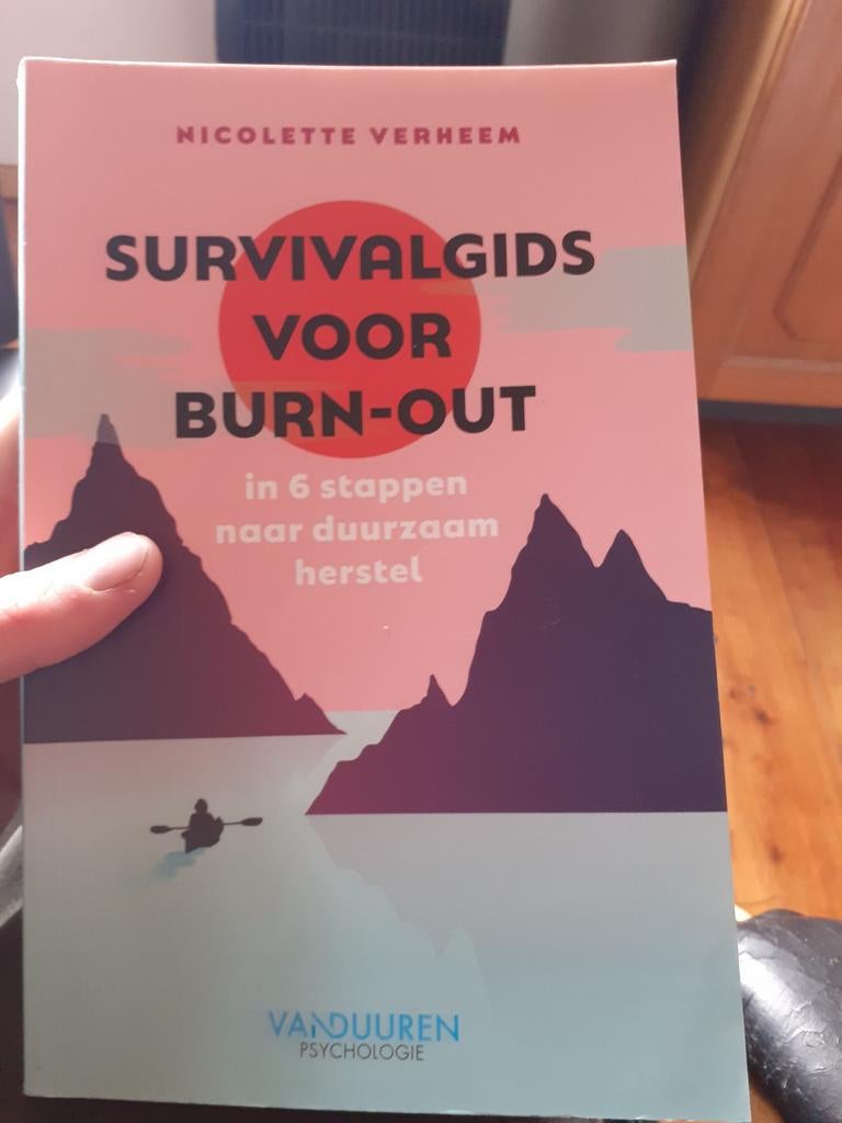 Survivalgids voor burn-out, Ophalen of Verzenden