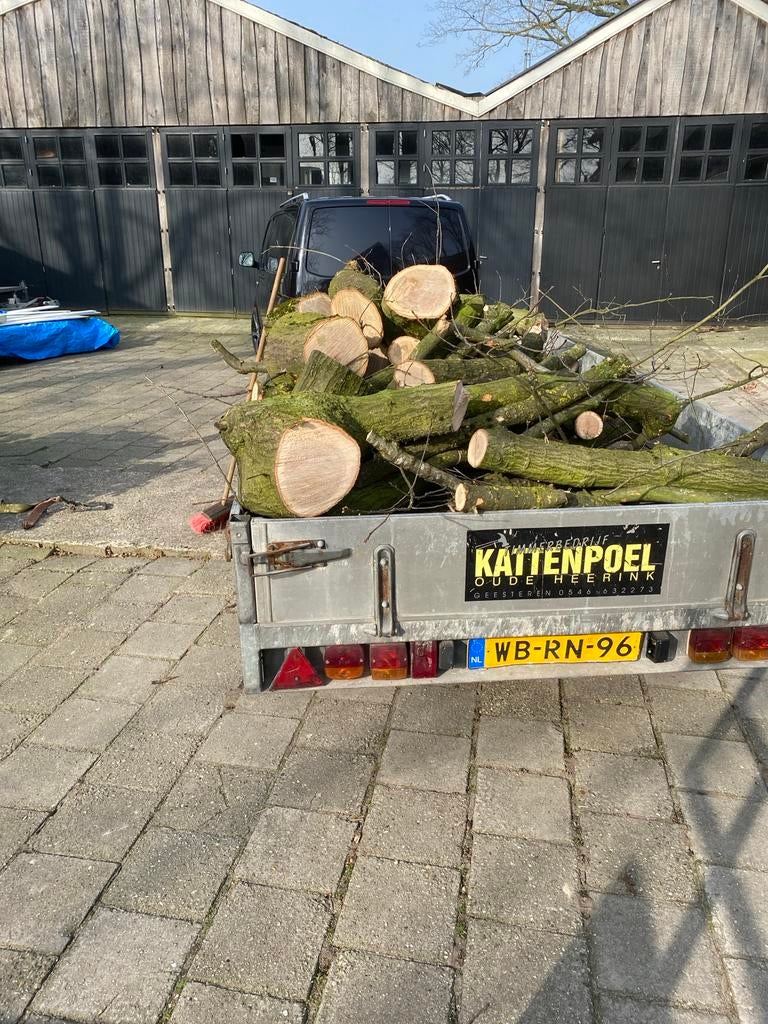 Vers gezaagd eiken brandhout te koop, Tuin en Terras, Haardhout, Stammen, Eikenhout, Minder dan 3 m³, Ophalen of Verzenden