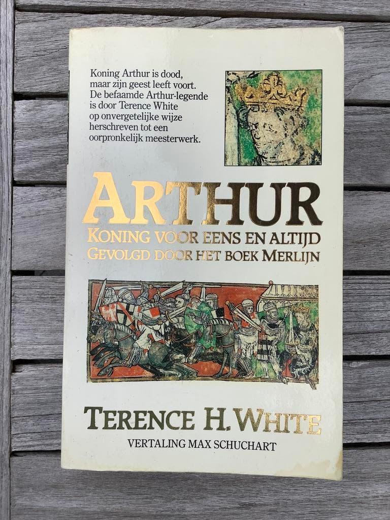 Arthur, koning voor eens en altijd + Het boek Merlijn, Ophalen of Verzenden, Gelezen