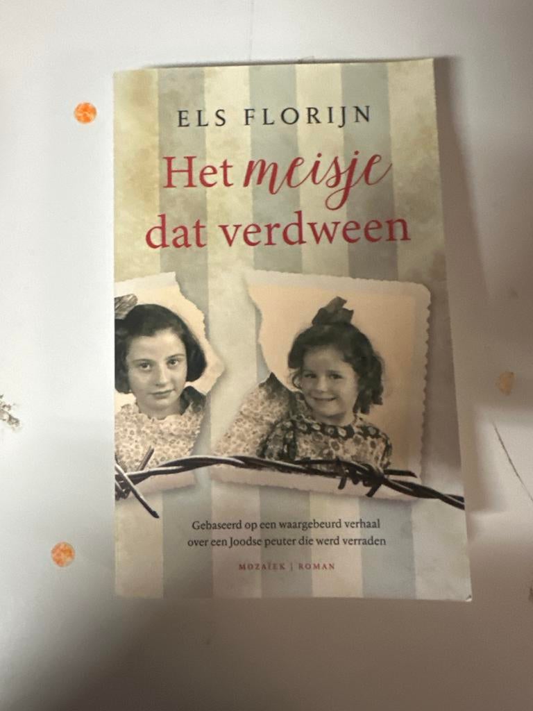 Het meisje dat verdween - Els Florijn (Roman), Ophalen of Verzenden, Gelezen, Nederland