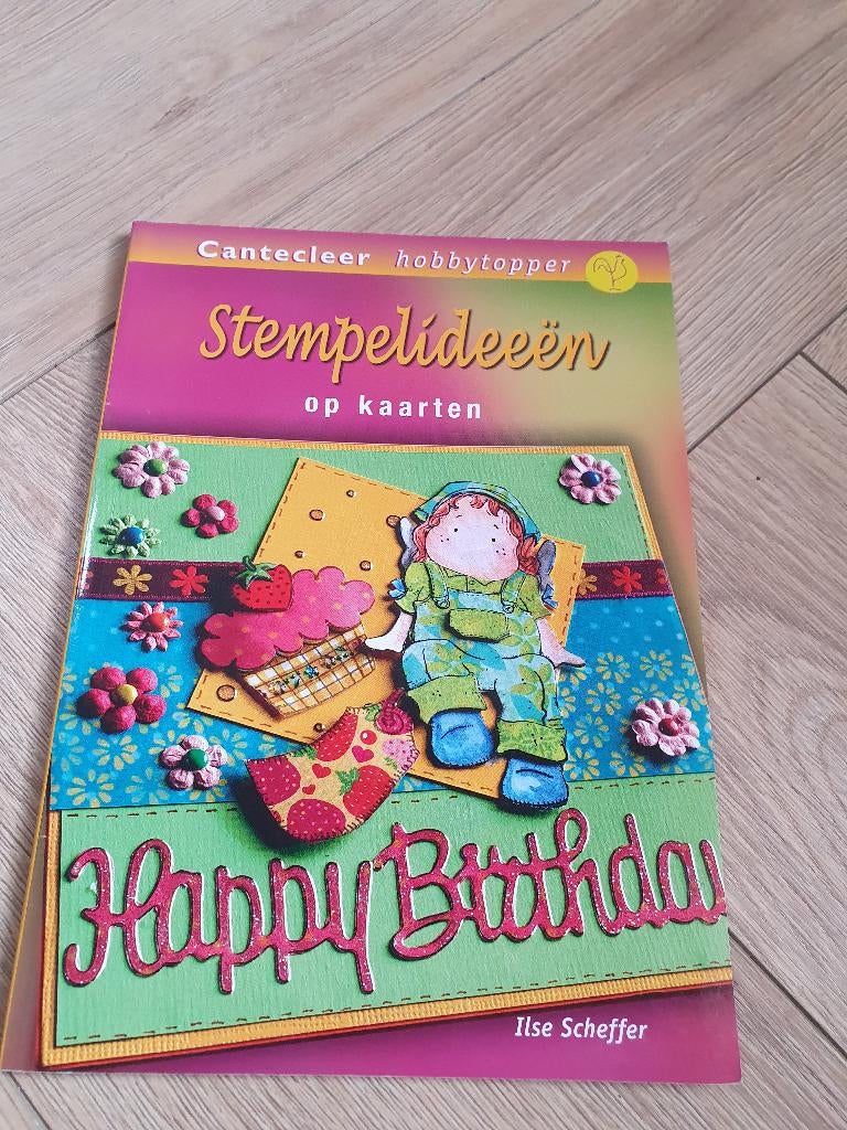 Stempelideeën Ilse Scheffer kaarten maken hobbyboek, Boeken, Ilse Scheffer, Nieuw, Ophalen of Verzenden, Scrapbooking en Knutselen
