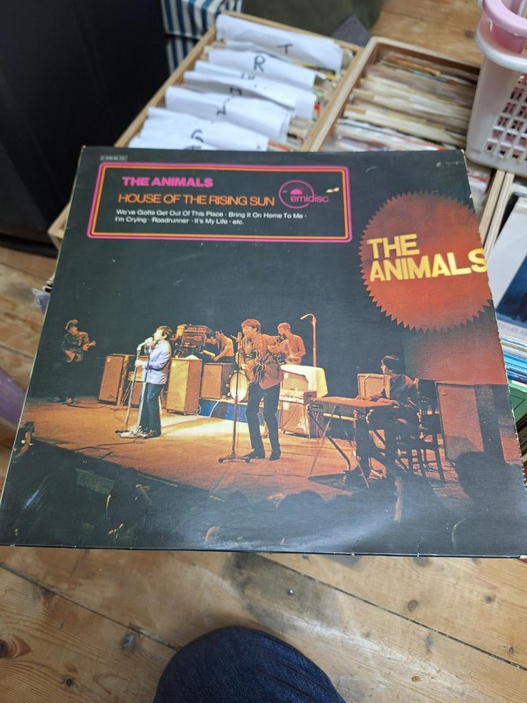 The animals house of the rising sun, Ophalen of Verzenden, Gebruikt, Overige formaten, Poprock