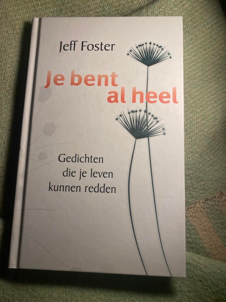 Je bent al heel - Jeff Foster, Boeken, Ophalen of Verzenden, Zo goed als nieuw, Spiritualiteit algemeen, Achtergrond en Informatie