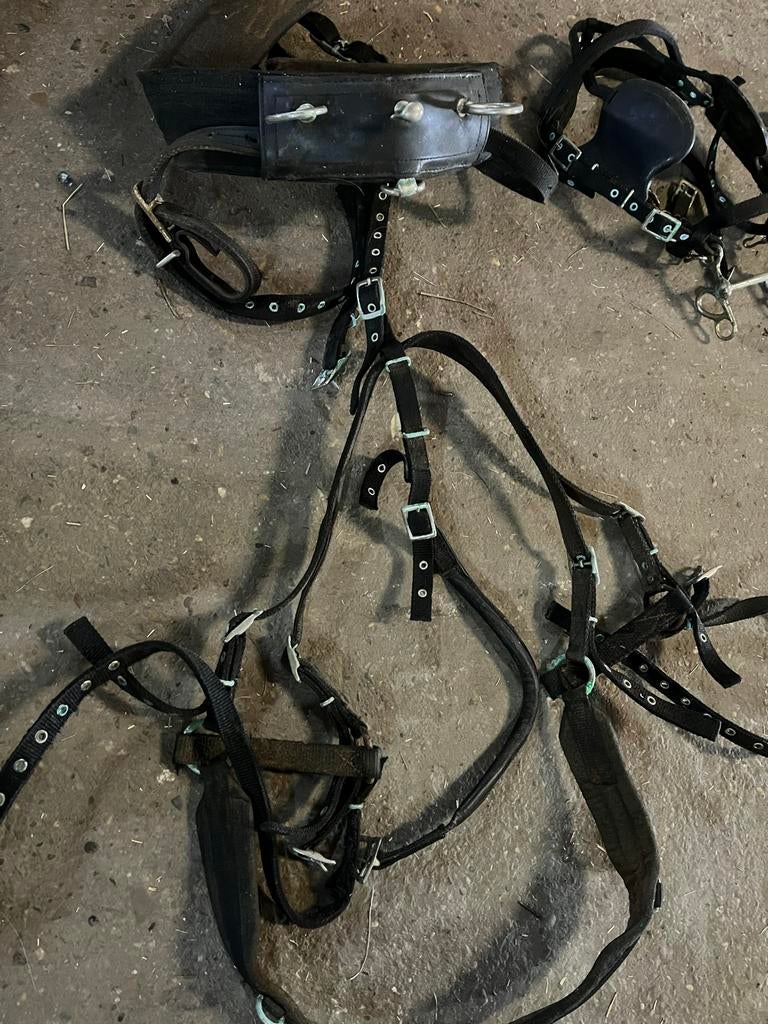 Meerdere shetland tuigjes, Dieren en Toebehoren, Ophalen of Verzenden, Gebruikt, Overige soorten