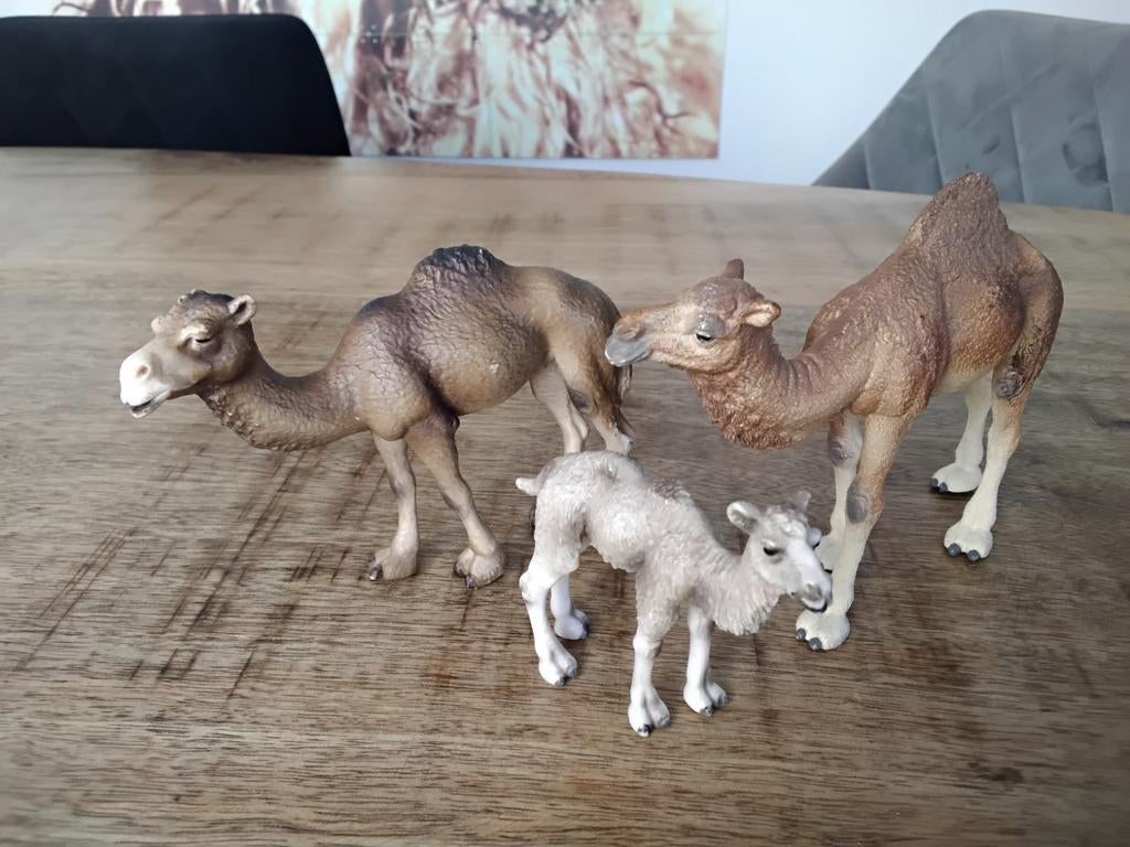 Schleich dromedaris en kameeljong, Verzamelen, Dierenverzamelingen, Ophalen of Verzenden, Zo goed als nieuw, Paard