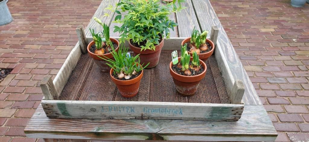 Gaasbak ( J,Ruiter Grootebroek ), Ophalen of Verzenden