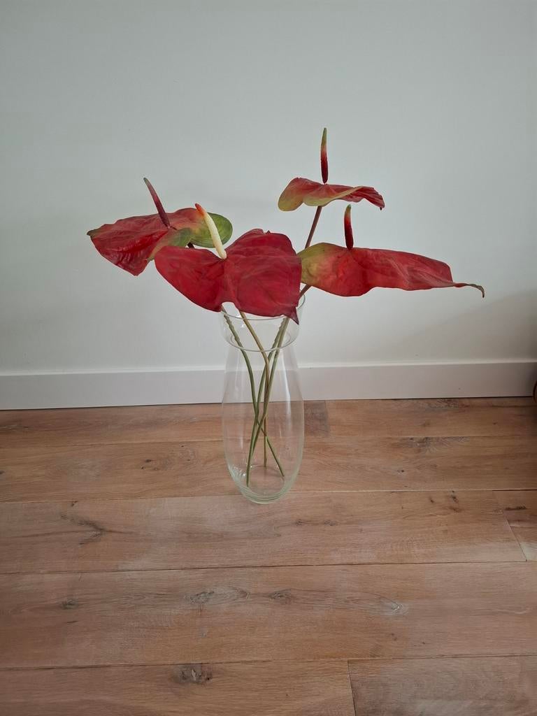 4 grote rode anthurium takken kunst, Ophalen, Zo goed als nieuw, Binnen