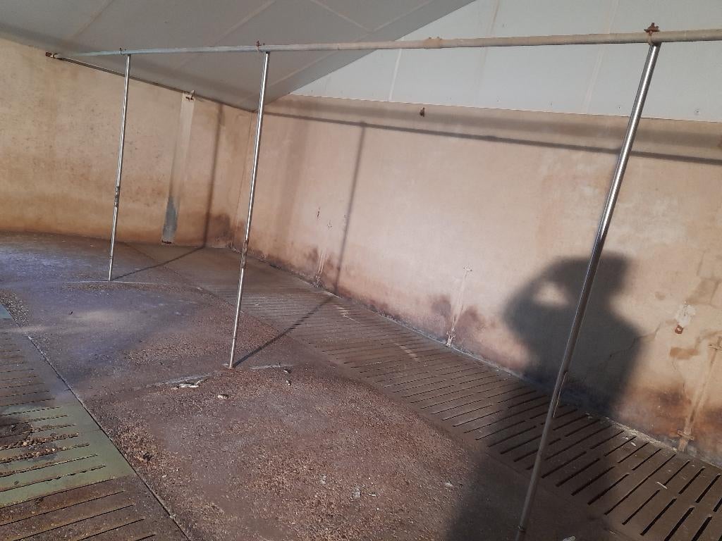 Schoorbuizen, Dieren en Toebehoren, Varken