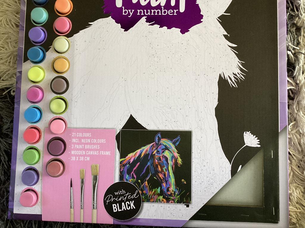 Paint by number 2x, Ophalen of Verzenden, Nieuw, Schilderen op nummer