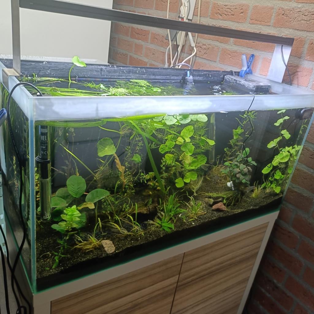 Compleet mooi 140 liter aquarium met meubel   weer beschikba, Ophalen, Zo goed als nieuw, Leeg aquarium
