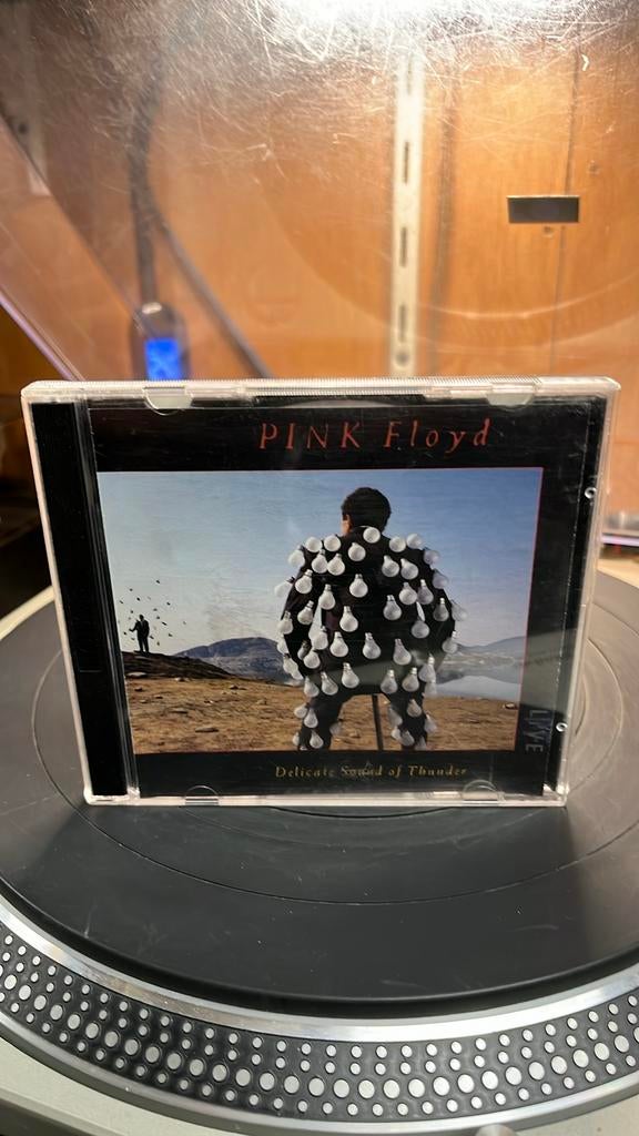 Pink Floyd Delicate sound of thunder, Ophalen of Verzenden, Gebruikt