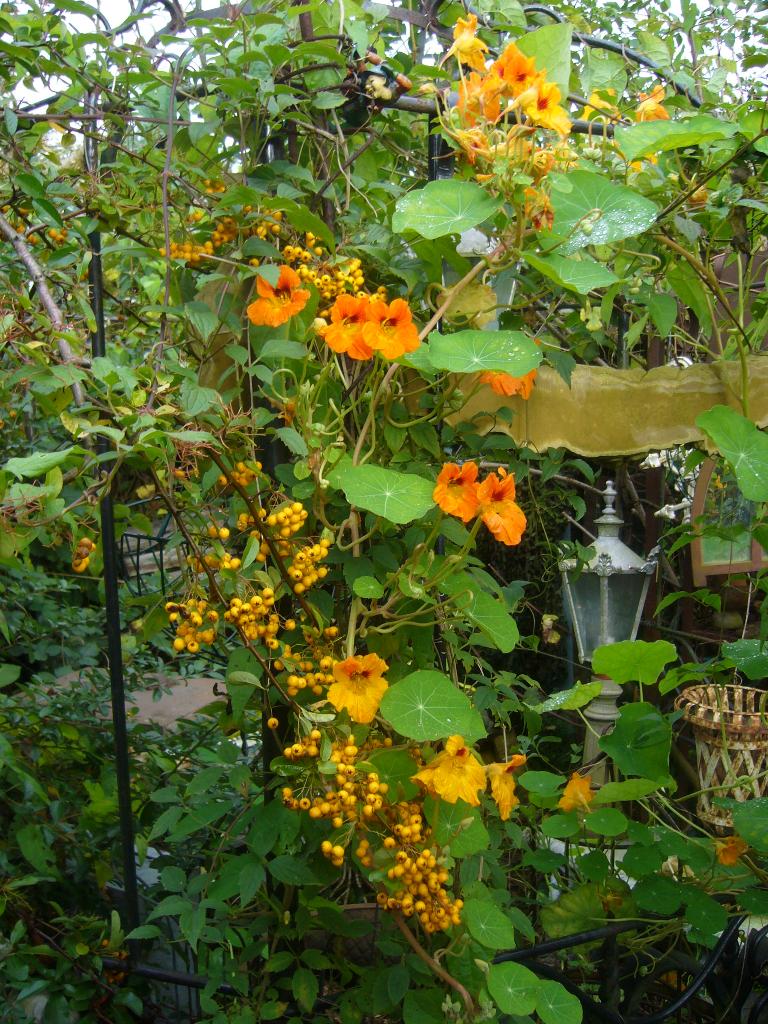 Hardglazen legplanken voor kweekkas/kas/vitrine facet.