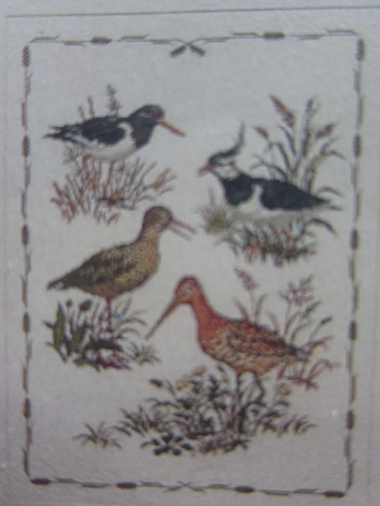 borduurpatroon kievit grutto borduren watersnip kolibri, Ophalen of Verzenden, Zo goed als nieuw, Handborduren, Patroon