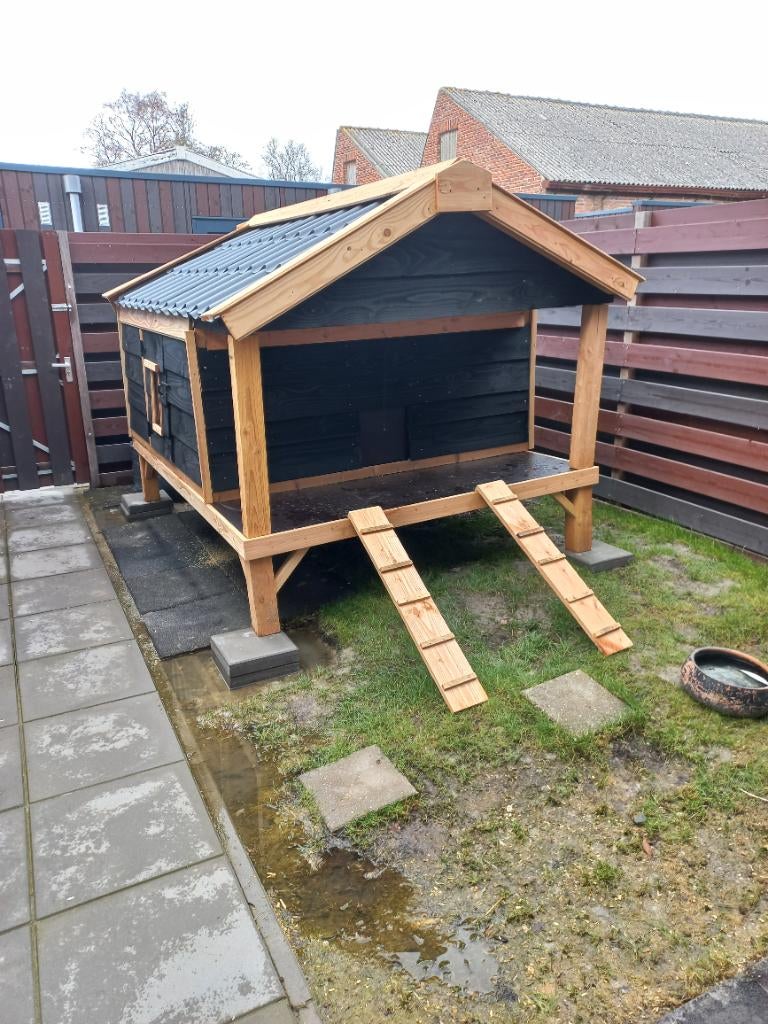 Kippen hok te koop, Dieren en Toebehoren, Ophalen, Zo goed als nieuw, Kippenhok of Kippenren