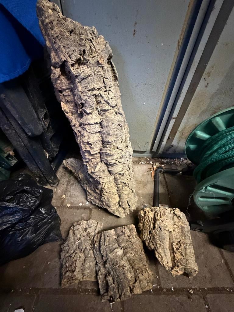 Grote Terrarium rots - slangen, Ophalen, Tak, Plant, Rots of Steen