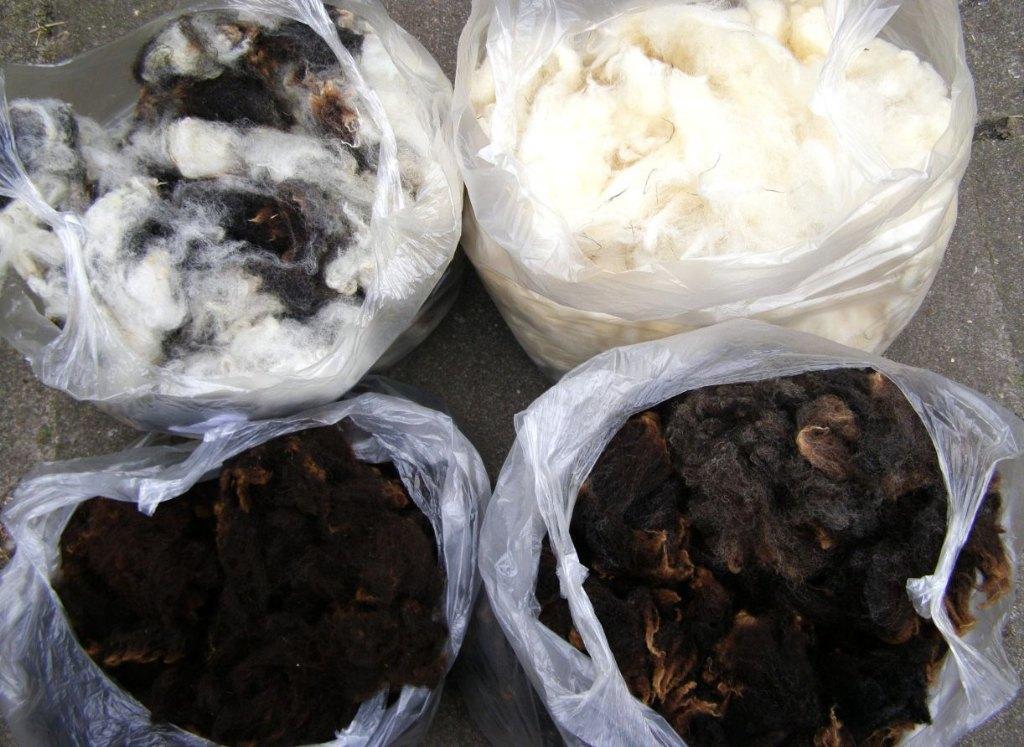 Nederlands spinpakket schapenwol spinnewiel spinnen, Hobby en Vrije tijd, Ophalen of Verzenden, Nieuw, Spinwol