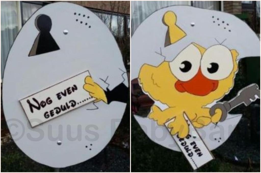 Super leuk Geboortebord van Kuikentje uit het Ei., Ophalen of Verzenden, Zo goed als nieuw, Geboortebord