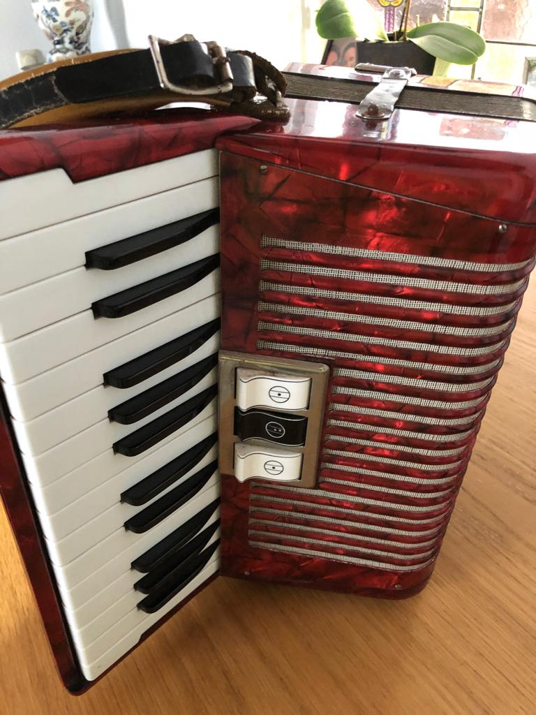accordeon Hohner student 48 bass incl draagtas, Ophalen, Met riemen, Toetsaccordeon, Hohner