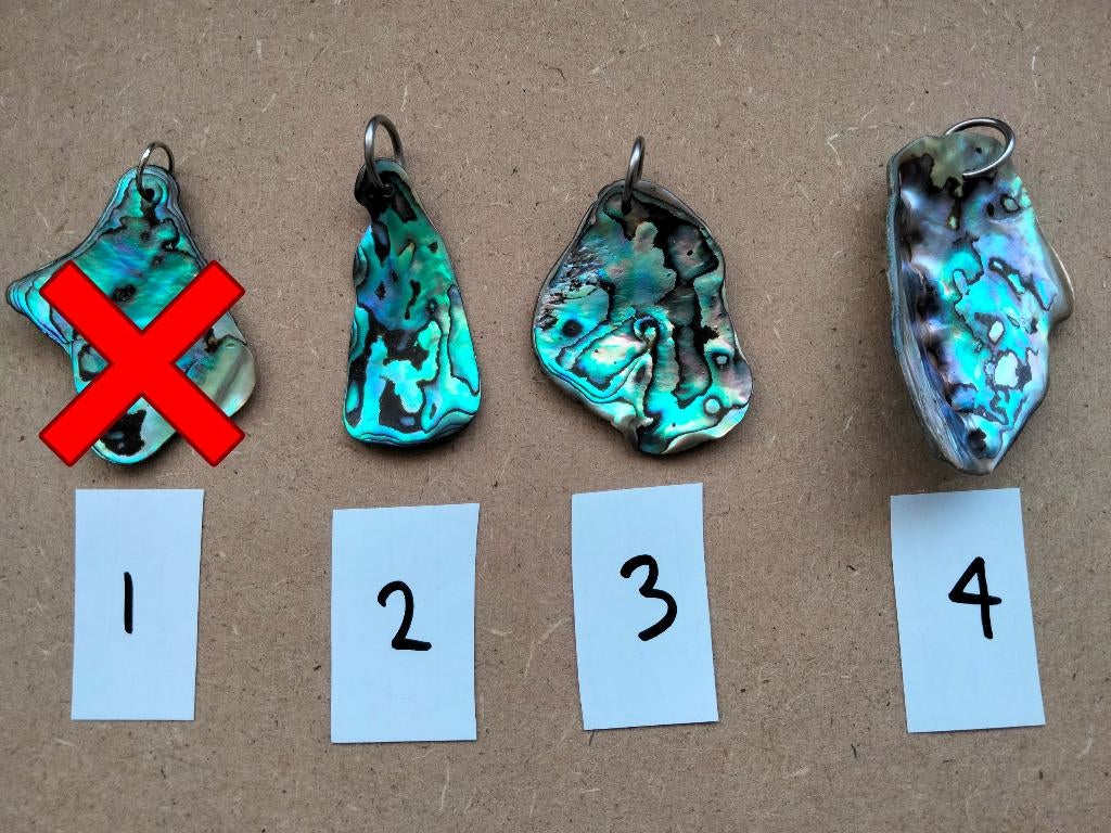 abalone schelpen kettinghangers, Ophalen, Nieuw, Overige kleuren, Overige materialen
