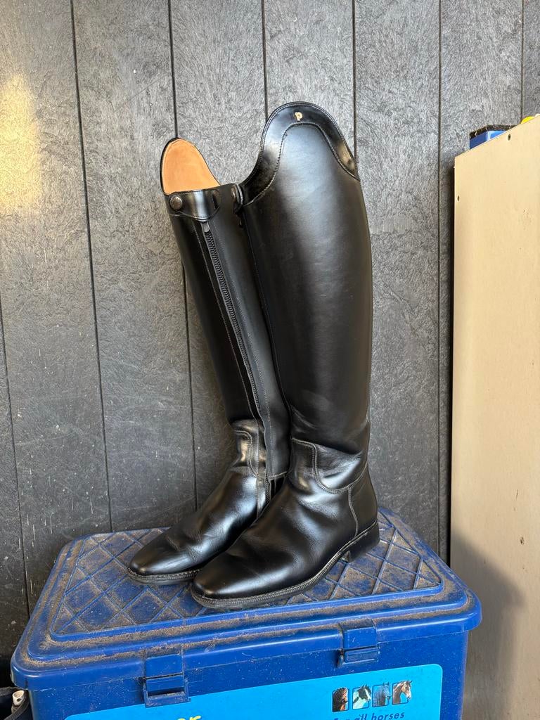 Petrie leren rijlaarzen maat 39, Dieren en Toebehoren, Paardrijkleding, Ophalen of Verzenden, Zo goed als nieuw, Dressuur, Schoeisel