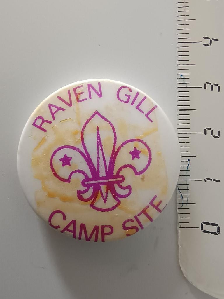 UK Scouting Raven Gill Camp Site Metal Pin Badge, Ophalen of Verzenden, Zo goed als nieuw, Overige onderwerpen, Button