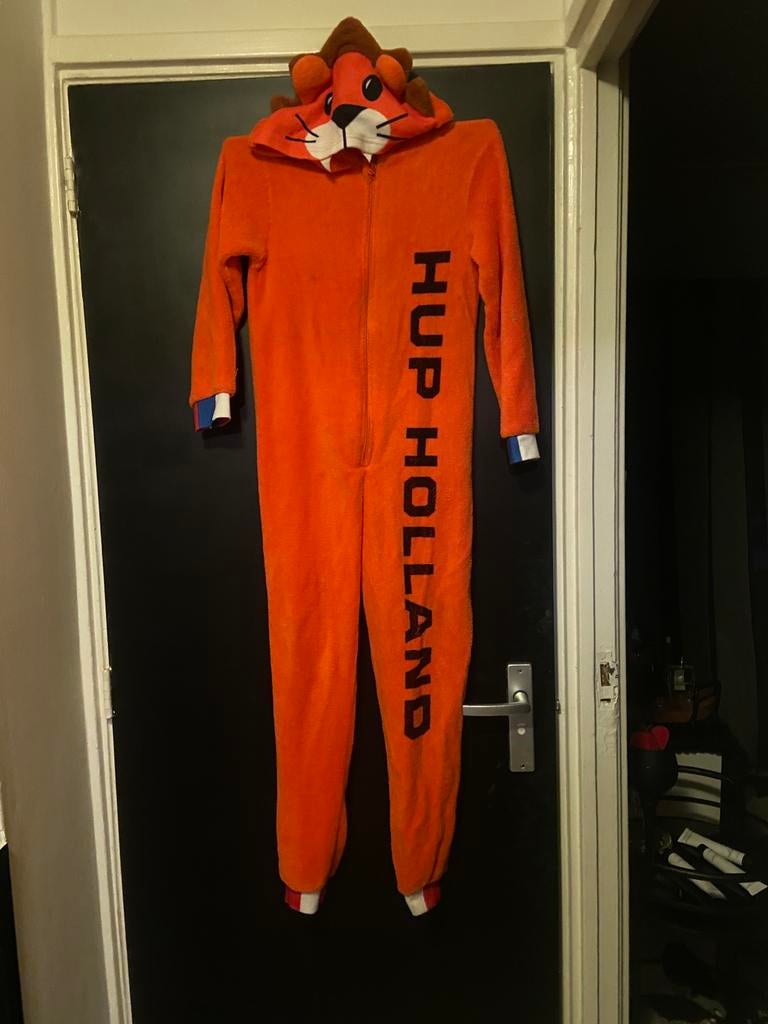 Carnaval, Kleding | Dames, Ophalen of Verzenden, Zo goed als nieuw, Overige kleuren