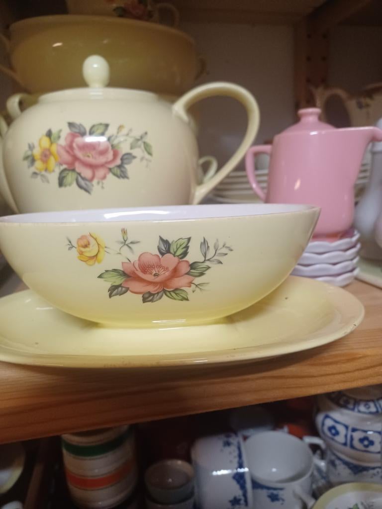 Pastel sauskom regout, Ophalen of Verzenden