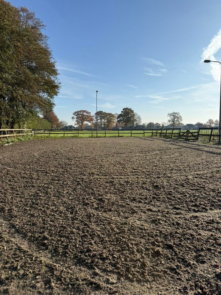 Betaalde mesthulp gezocht, Diensten en Vakmensen, Dieren | Paarden | Verzorging, Oppas en Les
