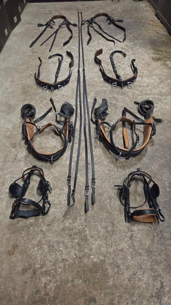 IDEAL compleet marathon tweespan tuig maat cob, Dieren en Toebehoren, Ophalen, Gebruikt, Overige soorten