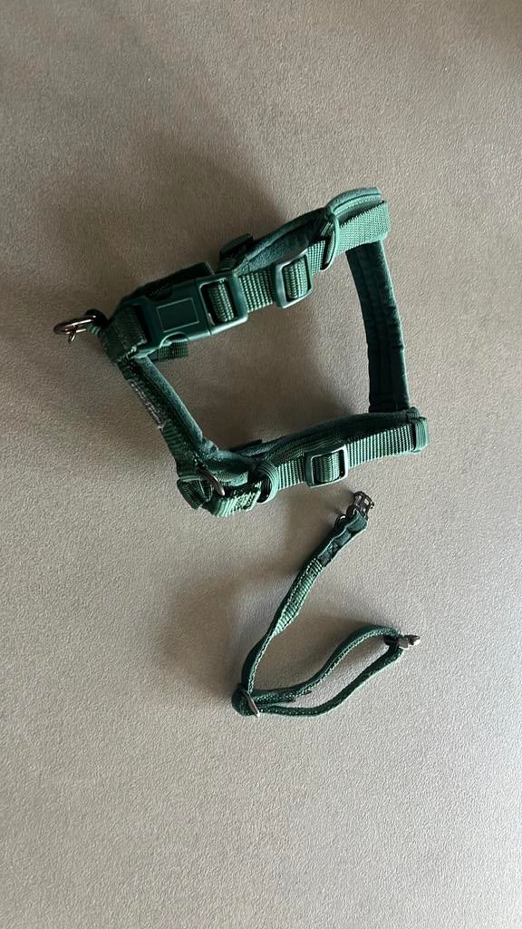Hondentuig en halsbandje XS groen Nomad Tales, Dieren en Toebehoren, Ophalen of Verzenden, Gebruikt